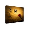 Trademark Fine Art - Wieteke de Kogel Opposites Attract Matted Framed Art - 2 of 4