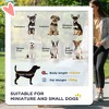 Aukfa 4-Wheel Foldable Pet Stroller for Small Dogs & Cats - Lightweight, 1-Click Fold, Safety Belts, Adjustable Canopy, Storage Basket & Swivel Wheels - 3 of 4