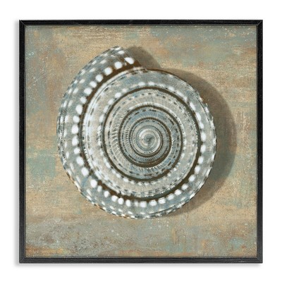 Stupell Industries Spiral Shell Beach Objects Design, 12" x 12"