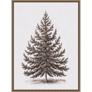 Amanti Art Vintage Evergreen Fir Tree lllustration I by The Creative Bunch Studio Canvas Art Framed - 1 of 4