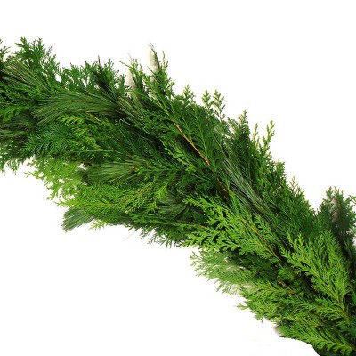 Live Fresh Cut Pacific Northwest Princess Pine and Cedar Mix 25' Coil Garland - Van Zyverden