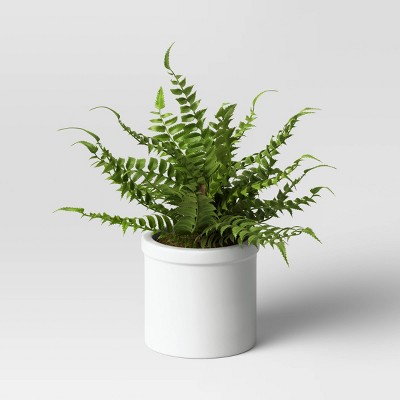 allen + roth 18-in Green Indoor Artificial Boston Fern Artificial Plant in  the Artificial Plants & Flowers department at