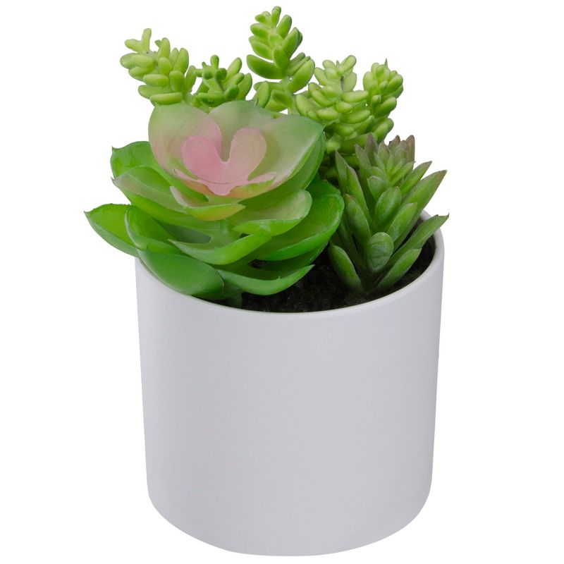 Northlight 5.5” Mixed Artificial Succulent Arrangement in a White Pot, 4 of 6
