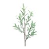 Olive Leaf Twig Branch (Set of 2) - 3 of 3