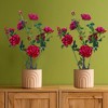 2-piece set of artificial flowering trees - 70cm, green-leaf artificial peonies, artificial potted plants, suitable for indoor use in the home - 3 of 4