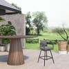 HomeRoots 34" Dark Gray Metal Swivel Low back Outdoor Counter Height Bar chair with Footrest - 2 of 4
