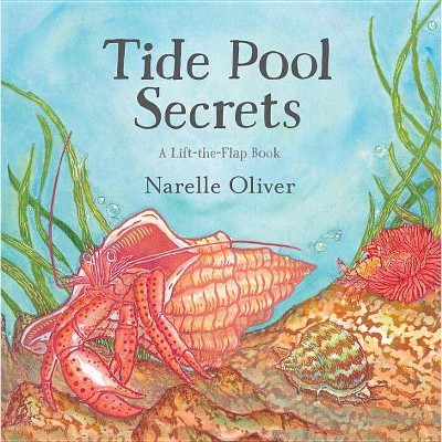 Tide Pool Secrets - by  Narelle Oliver (Hardcover)