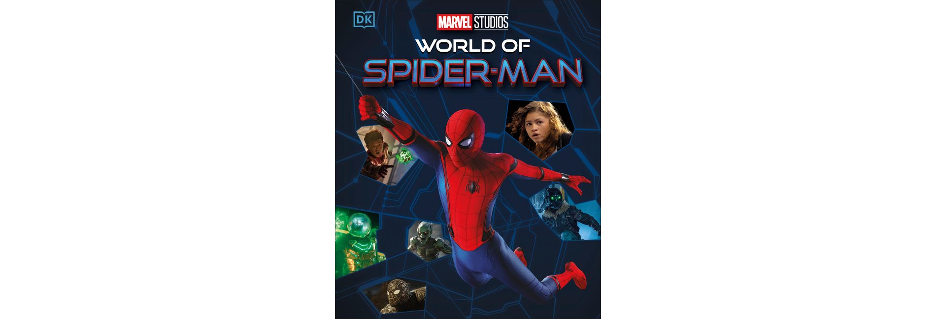Marvel World of Spider-Man - by  Kelly Knox (Hardcover)