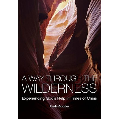 A Way Through the Wilderness - by  Paula Gooder (Paperback)