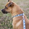 Country Brook Petz Deluxe Dog Collar - Critter Corner Collection - Made In The U.S.A. - 2 of 4