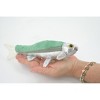 Collectible Wildlife Gifts | Fish, Minnow, Cyprinidae and Leuciscidae. Stuffed Fish, Realistic Hand Designed, Figure, Lifelike Figurine, Replica,   9 - 2 of 4
