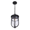 Craftmade Lighting Voyage 1 - Light Pendant in  Midnight - 4 of 4