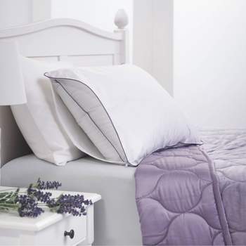 Lavender Infused Pillow Protector White - Dream Infusion