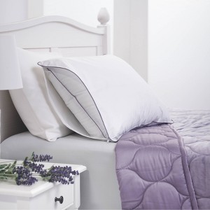 Standard Lavender Infused Pillow Protector White - Dream Infusion