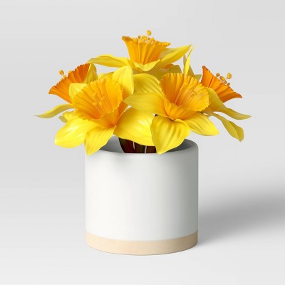 Yellow Daffodil Color Story - Threshold™