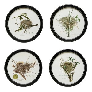 Storied Home (Set of 4) Vintage Reproduction Nest Wall Art Set: MDF Material, Modern Decor, Autumn Theme, Black Frame - 1 of 2
