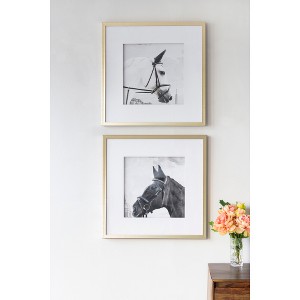 Set of 2 Wall Art Horse Animal Printing, Wall Decor Accent, 22 x 22 - 1 of 4