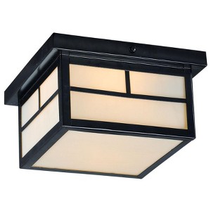 Maxim Lighting Coldwater 2 - Light Flush Mount in  Black - 1 of 4