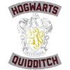 Harry Potter Hogwarts Quidditch Crest Navy Boy's Short-Sleeve T-shirt - 2 of 3