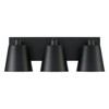 Capital Lighting Alden 3 - Light Vanity in  Matte Black - 2 of 4