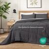 Ivy Union Down Alternative Comforter Set - 2 of 4