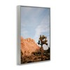 Stupell Industries Joshua Tree & Canyon Framed Giclee Art - 2 of 4