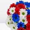 Patriotic Daisy Pom Bouquet - Good Little Garden™ - 3 of 3