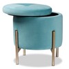 Malina Velvet Metal Storage Ottoman - Baxton Studio - 2 of 4