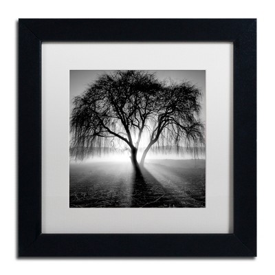 Moises Levy 'Lightning Tree I' Matted Framed Art