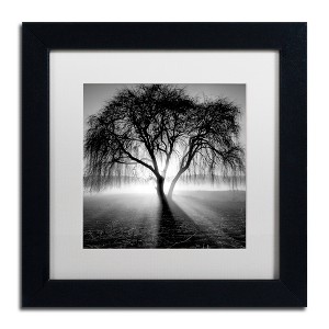 Moises Levy 'Lightning Tree I' Matted Framed Art - 1 of 4