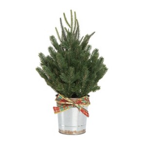 Transpac Artificial 18 in. Green Christmas Holiday Tree in Bucket - 1 of 2
