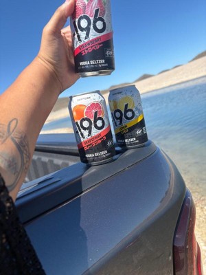 196 Vodka Seltzer Variety RTD : Target