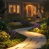 C Cattleya 5W Low Voltage Matte Black Aluminum LED Outdoor Landscape Path Lights - 4 of 4