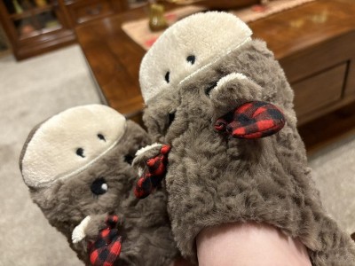 Guest review image 1 of 1, zoom in