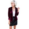 Clearlove Women's Tailored Velvet Blazer Slim-Fit Long Sleeve Jacket with Contemporary Silhouette Versatile Styling - 2 of 3