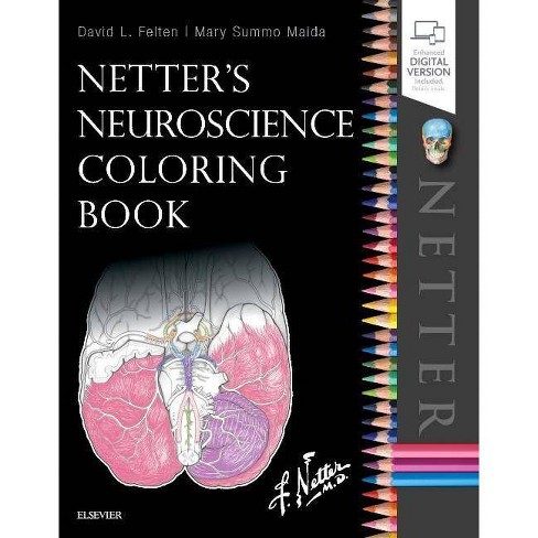 Download Netter S Neuroscience Coloring Book By David L Felten Mary E Maida Paperback Target