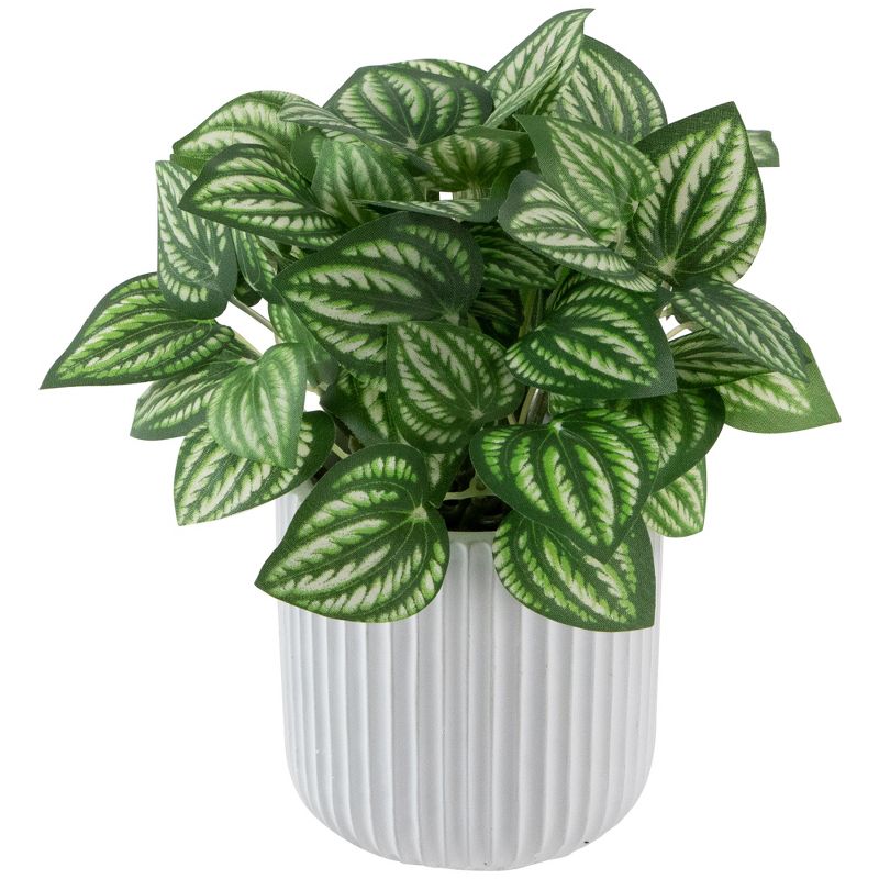 Northlight 6.5" Artificial Watermelon Peperomia Plant in White pot, 3 of 7