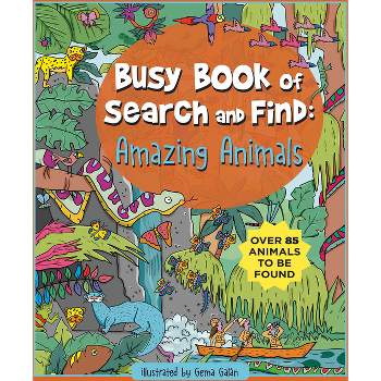 Busy Book of Search and Find - (Hardcover)