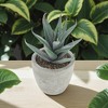 Unique Bargains Artificial Plants Mini Serrated Edge Aloe in Pulp Plastic 3.54"x3.54"x4.72" 1Pcs - 2 of 4