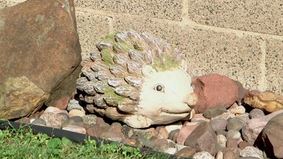 Hazel the Hedgehog 7" Brown Ceramic Outdoor Statue