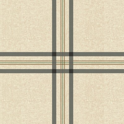 wide plaid blue & tan