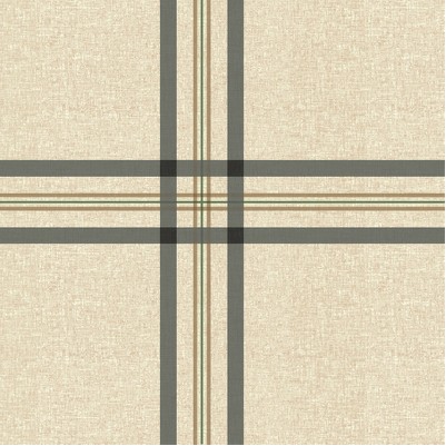 wide plaid blue & tan