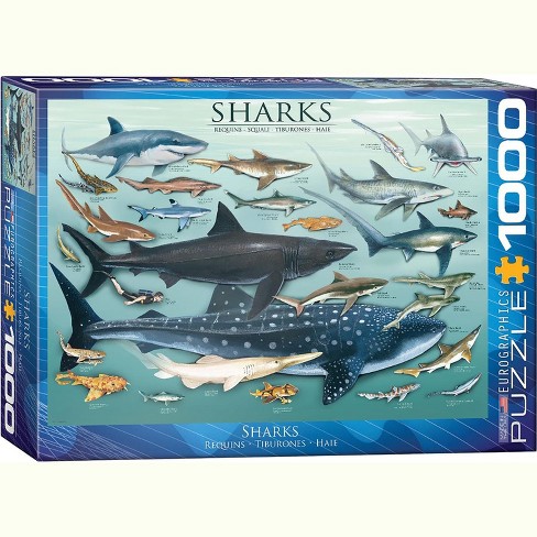 Eurographics Inc. Sharks 1000 Piece Jigsaw Puzzle - image 1 of 4
