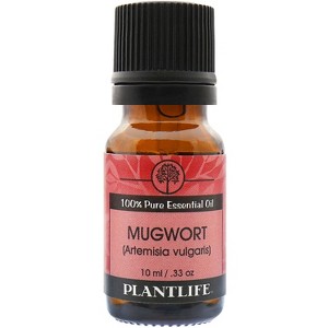 Plantlife Mugwort Essential Oil – 100% Pure & Therapeutic Grade – Natural, Undiluted & Steam-Distilled – No Additives or Fillers – 10ml Aromatherapy - 1 of 2