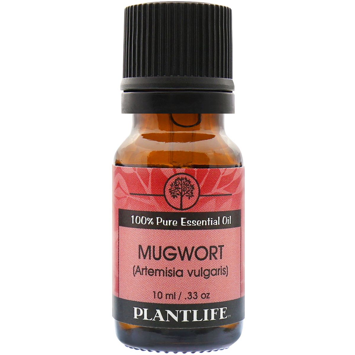 Plantlife Mugwort Essential Oil – 100% Pure & Therapeutic Grade – Natural, Undiluted & Steam-Distilled – No Additives or Fillers – 10ml Aromatherapy