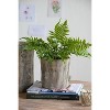 Okak Plant Pot Sets Small Round Motifs for Home Decor Indoor Gardening(set of 2/4) - 2 of 4