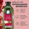 Herbal Essences Grape Seed Conditioner Color Protection and Hair Nourishment, Sulfate Free - 13.5 fl oz - 2 of 4
