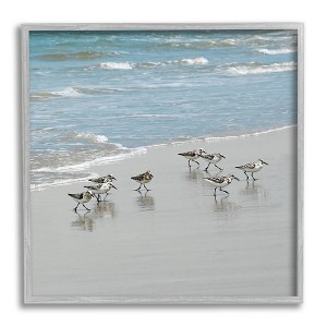 Stupell Industries Sandpipers Flock Sandy Beach Shore Framed Giclee Art - 1 of 4