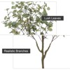 Acekool Artificial Eucalyptus Tree with White Silver Dollar Leaves, Realistic Faux Floor Plant & Stable Cement Pot for Indoor & Outdoor Decor - 4 of 4
