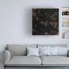 Trademark Fine Art - June Erica Vess  Onyx Nebula III Canvas Art - 2 of 4